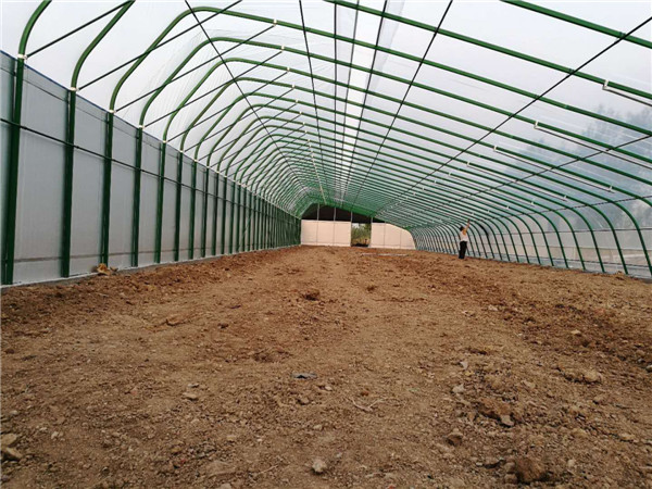 無(wú)厚墻鍍塑溫室 大棚